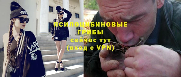 spice Белокуриха