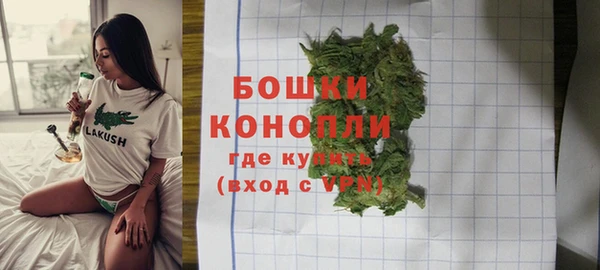 spice Белокуриха