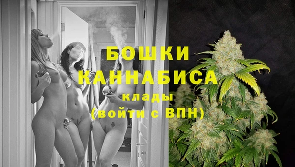 стафф Богородицк