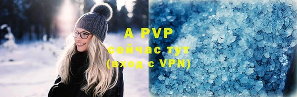 стафф Богородицк