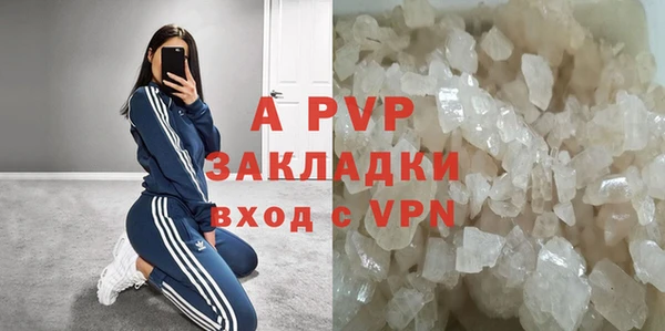 бошки Богданович