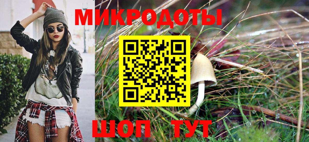 Сланцы  Псилоцибиновые грибы ЛСД  наркотики  Псилоцибиновые грибы GOLDEN TEACHER  Вход с VPN 