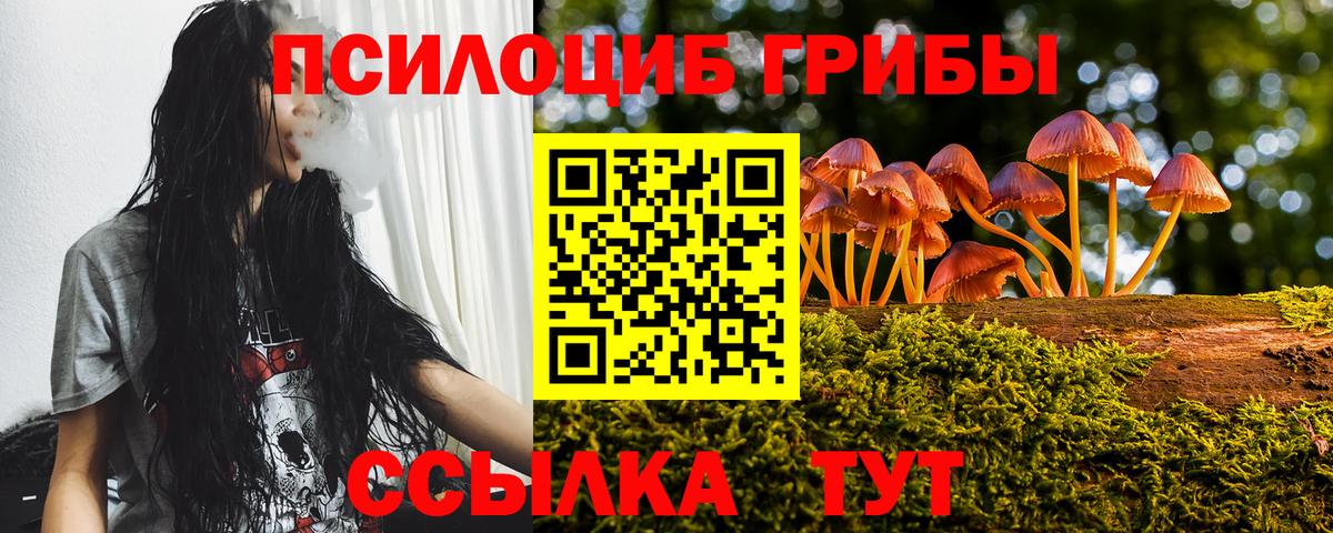 Псилоцибиновые грибы Psilocybe Сланцы